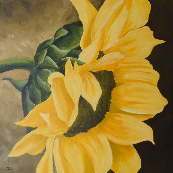 Sonnenblume