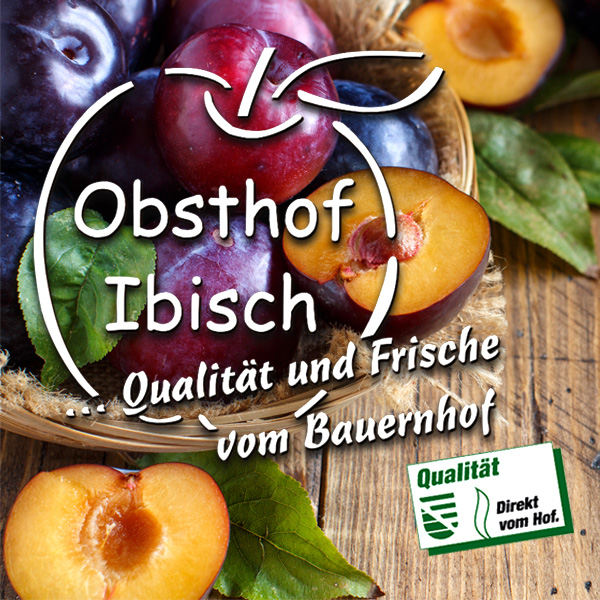 Frische Pflaumen vom Obsthof Ibisch